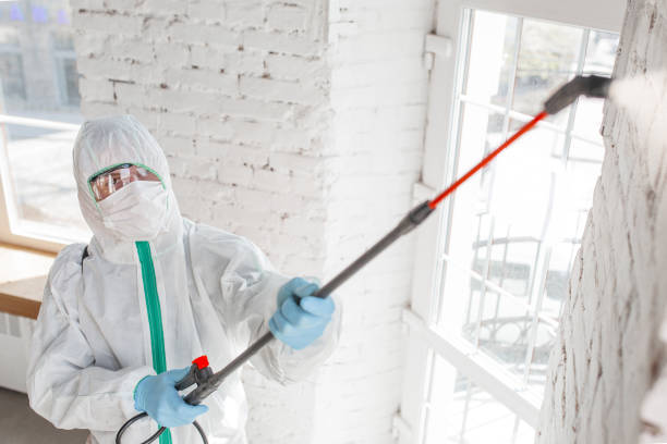 Best Mold-Related Health Consultation  in Dale, PA