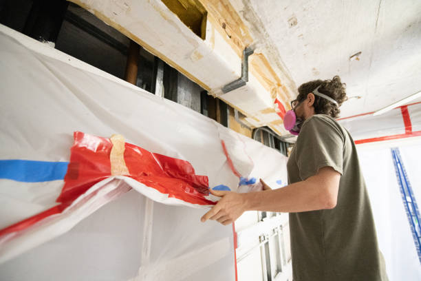 Best Basement Mold Removal  in Dale, PA