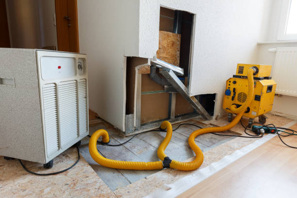 Best Emergency Mold Remediation  in Dale, PA